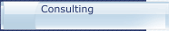 Consulting