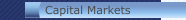 Capital Markets